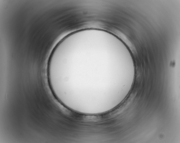 X0000101951339200808151244