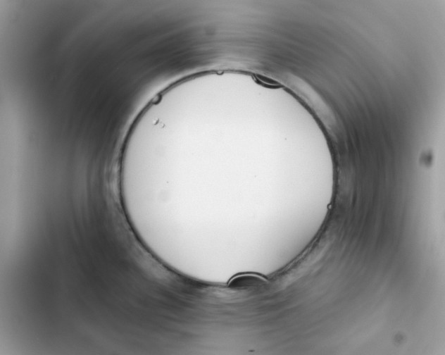 X0000101951340200808151244