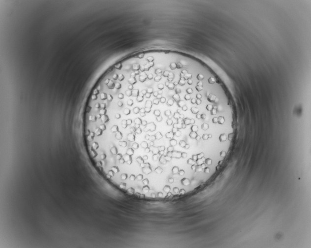 X0000101951341200808151244