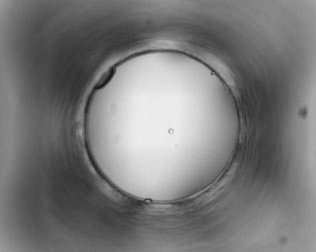 X0000101951342200808151244