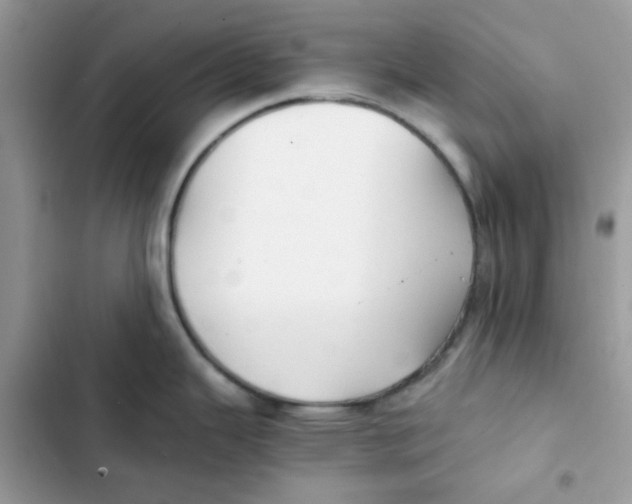 X0000101951343200808151244
