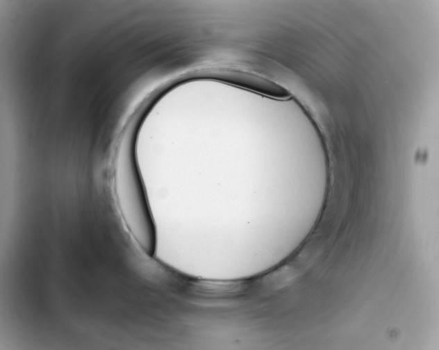 X0000101951344200808151244