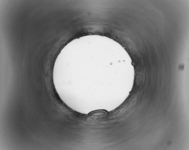 X0000101951345200808151243