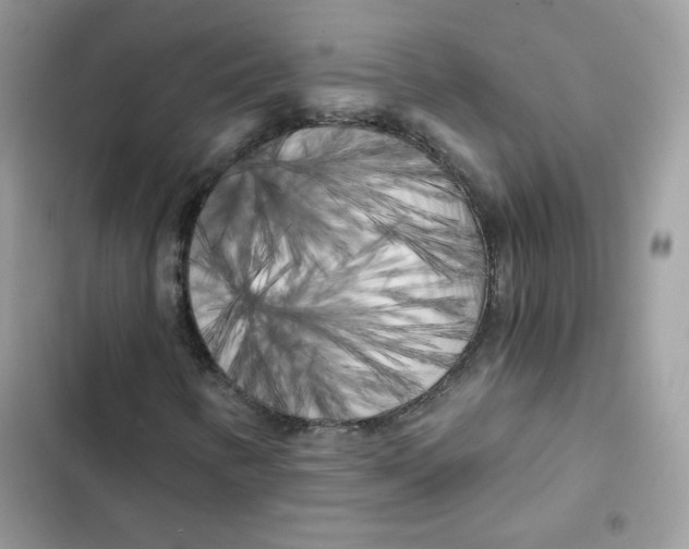 X0000101951346200808151243