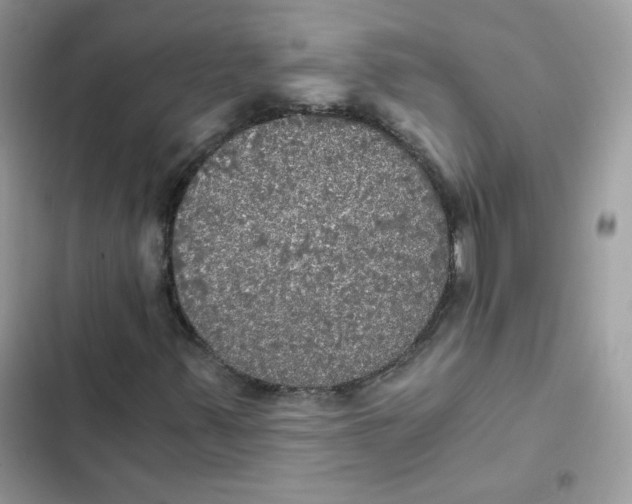 X0000101951347200808151243