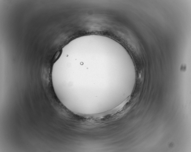 X0000101951348200808151243