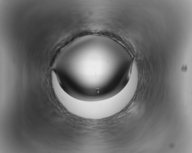 X0000101951349200808151243