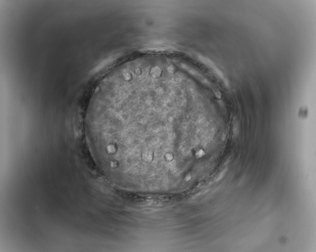 X0000101951350200808151243