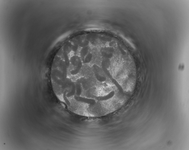 X0000101951351200808151243
