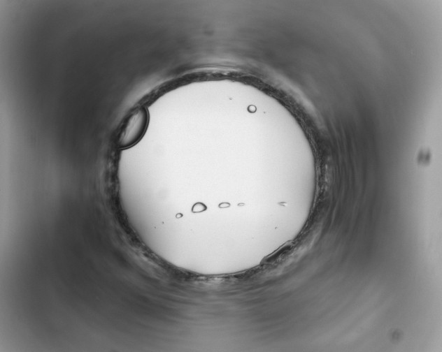 X0000101951352200808151243