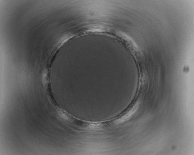 X0000101951353200808151243