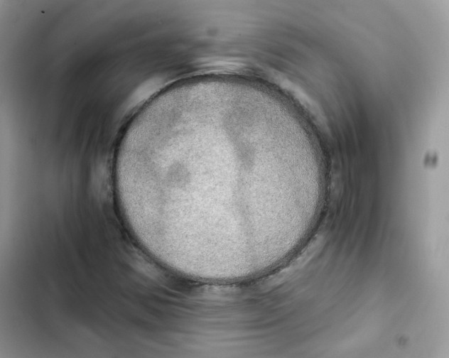 X0000101951354200808151243