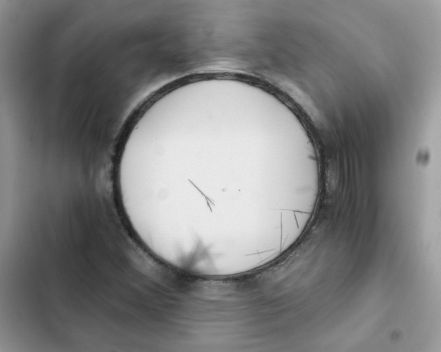 X0000101951356200808151243