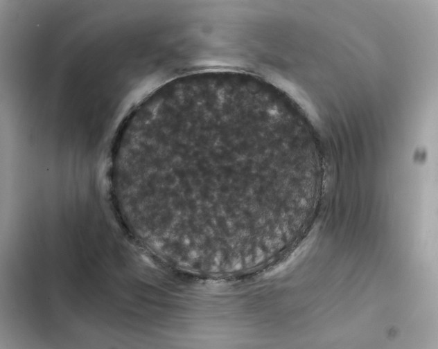 X0000101951357200808151243