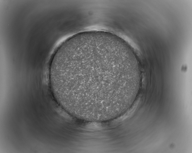 X0000101951358200808151243