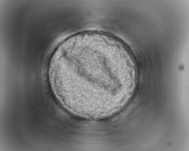 X0000101951359200808151243