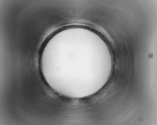 X0000101951360200808151243