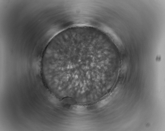 X0000101951361200808151243