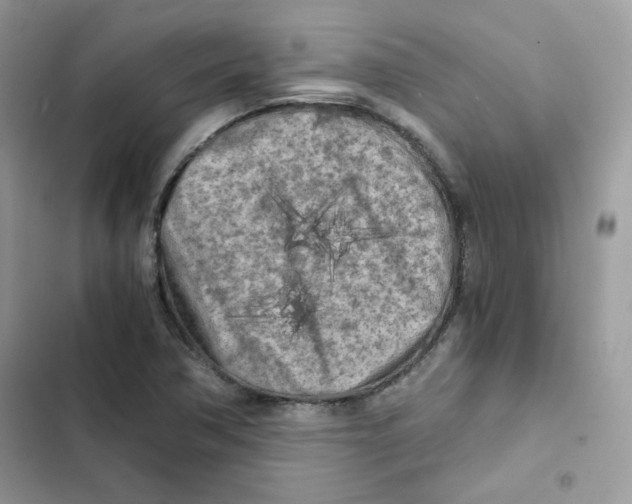 X0000101951362200808151243