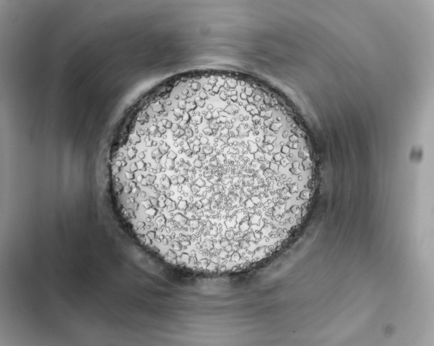 X0000101951363200808151243