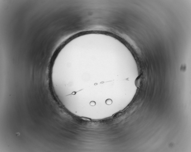 X0000101951364200808151243