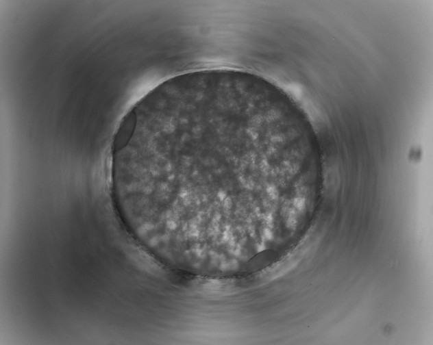 X0000101951365200808151243