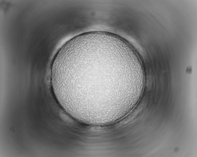 X0000101951366200808151243
