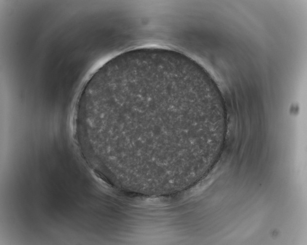 X0000101951367200808151243