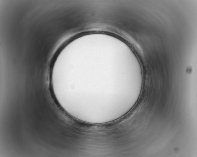 X0000101951368200808151243
