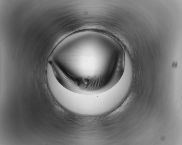 X0000101951369200808151243