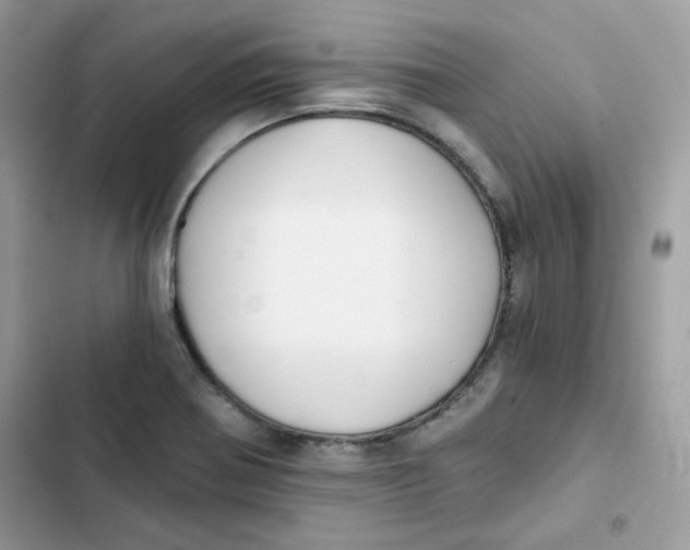 X0000101951370200808151243