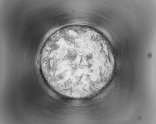 X0000101951371200808151243
