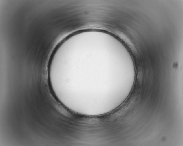 X0000101951372200808151243