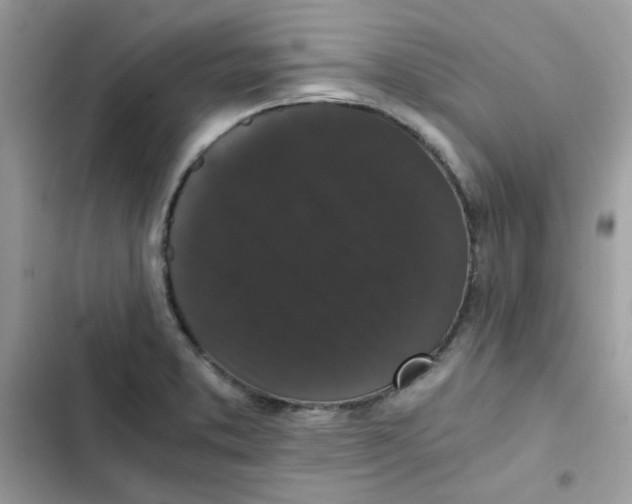 X0000101951373200808151243