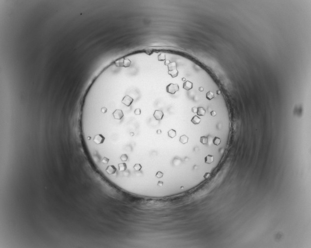 X0000101951374200808151243