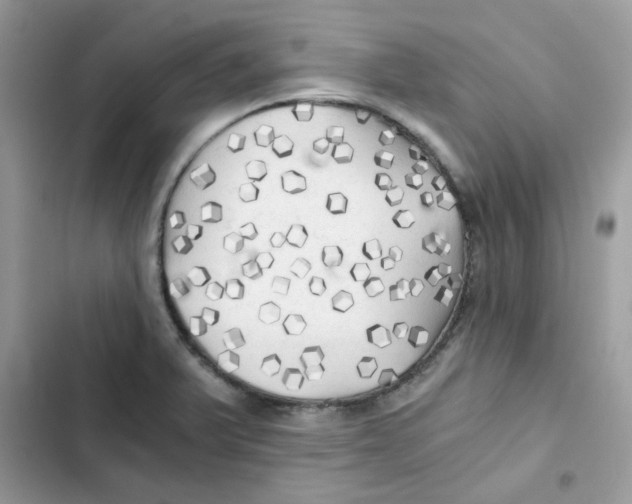 X0000101951375200808151243