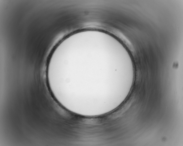 X0000101951376200808151243