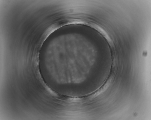 X0000101951377200808151243