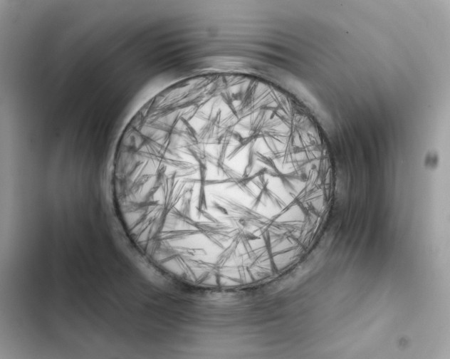X0000101951378200808151243