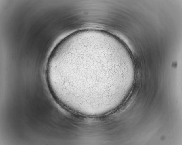 X0000101951379200808151243