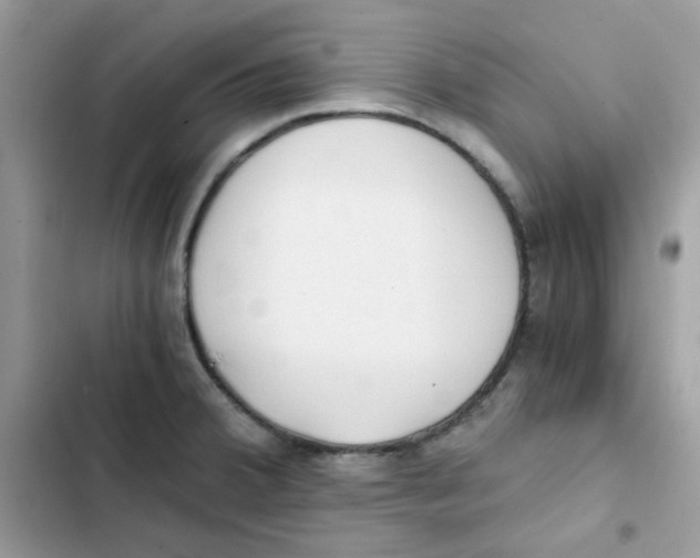 X0000101951380200808151243