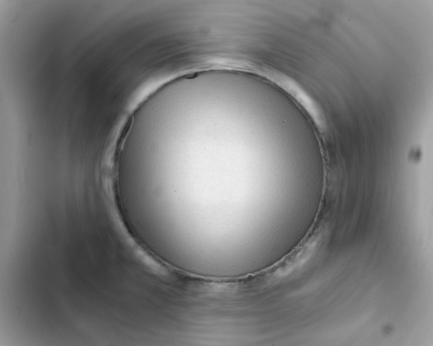 X0000101951381200808151243