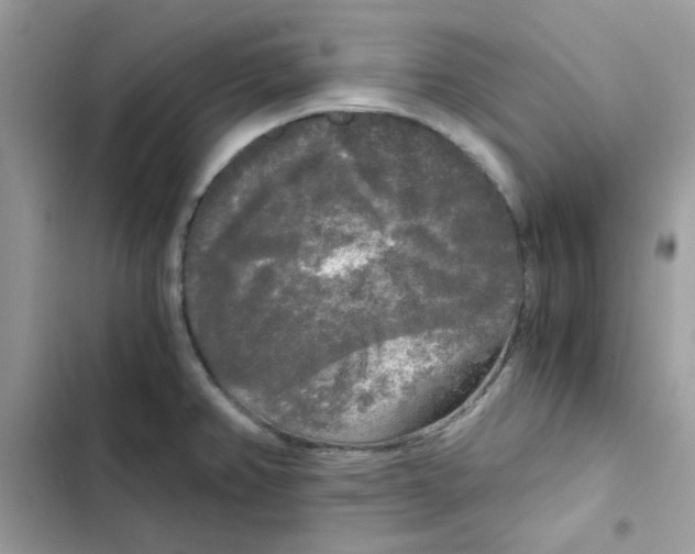 X0000101951382200808151243