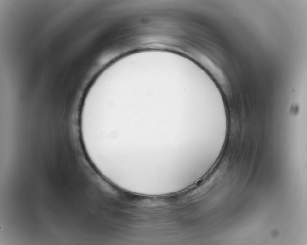 X0000101951384200808151243