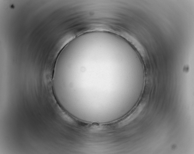 X0000101951385200808151243