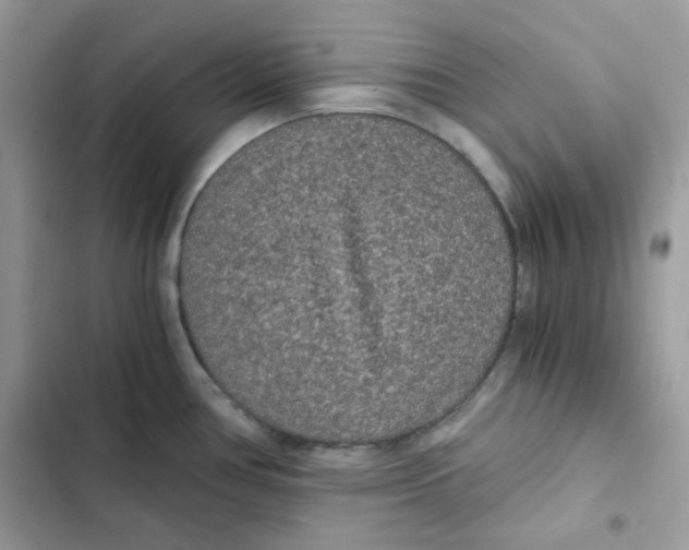 X0000101951386200808151243