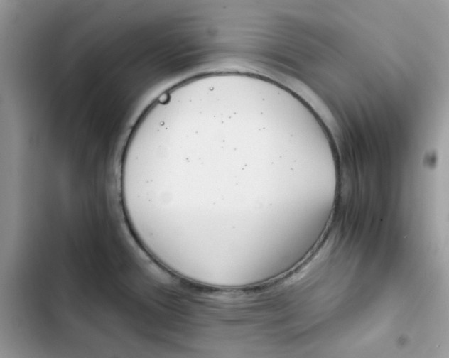 X0000101951388200808151243
