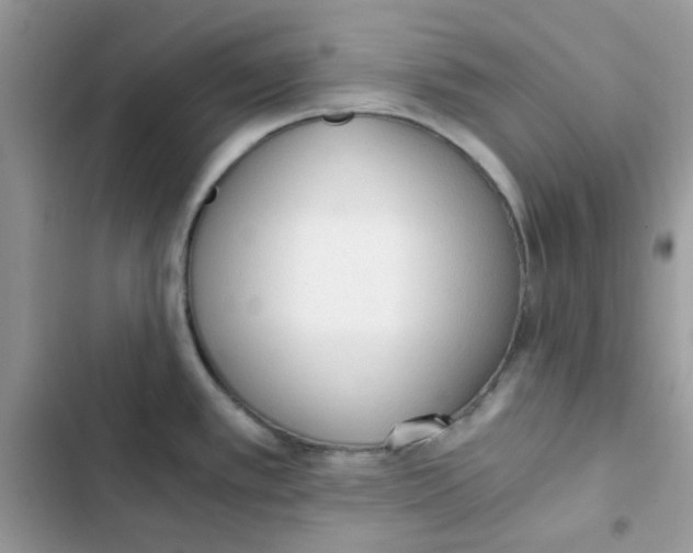 X0000101951389200808151243