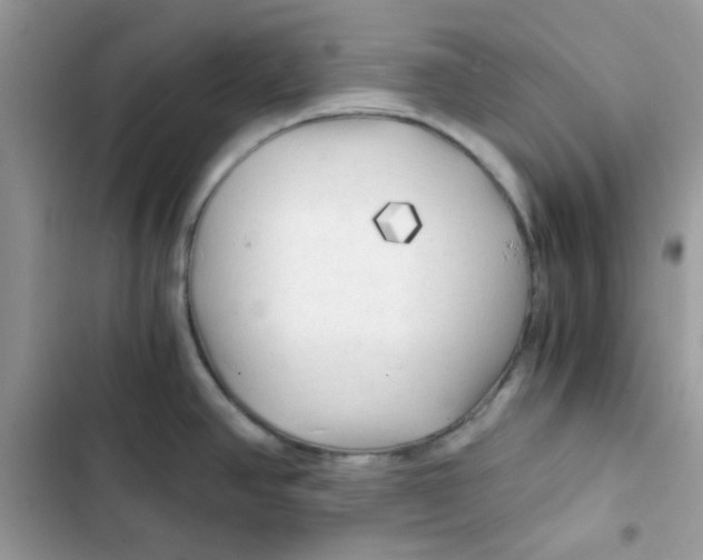X0000101951390200808151243
