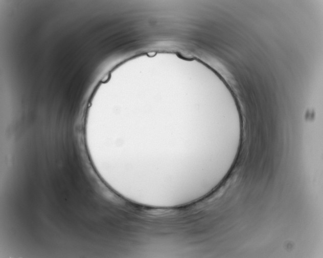 X0000101951392200808151243